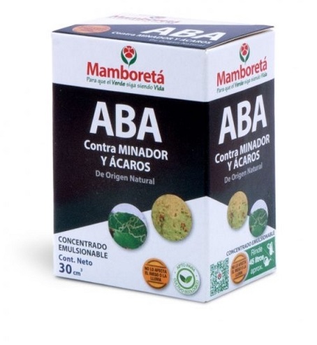 MAMBORETA ABA, EX C