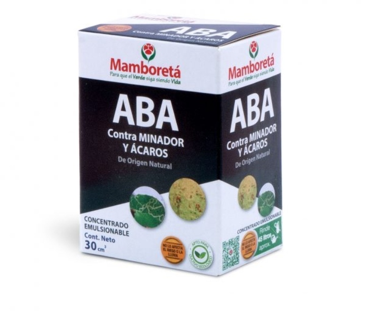 MAMBORETA ABA, EX C