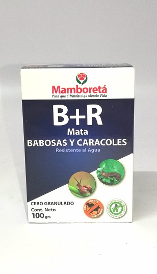 MAMBORETA B + R