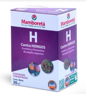 MAMBORETA H