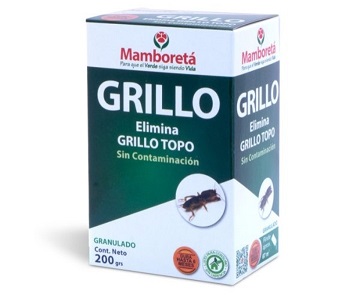 MAMBORETA GRILLO