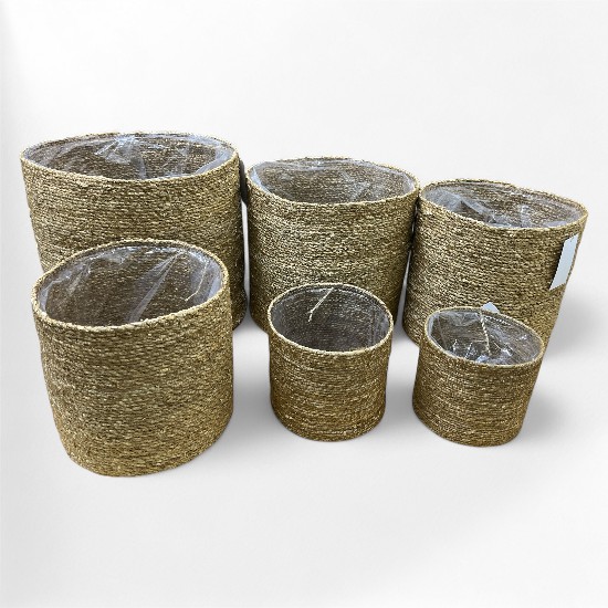 MACETERO SEAGRASS