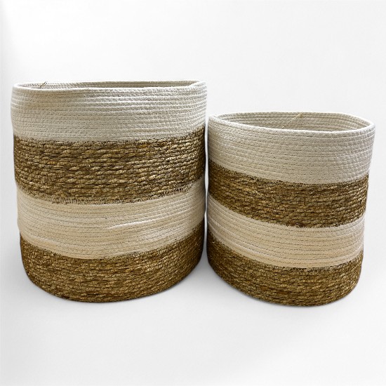 CANASTO SEAGRASS
