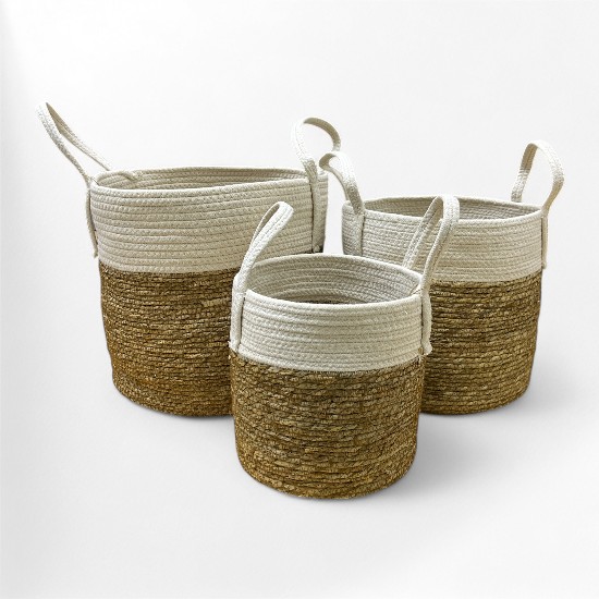 CANASTO SEAGRASS