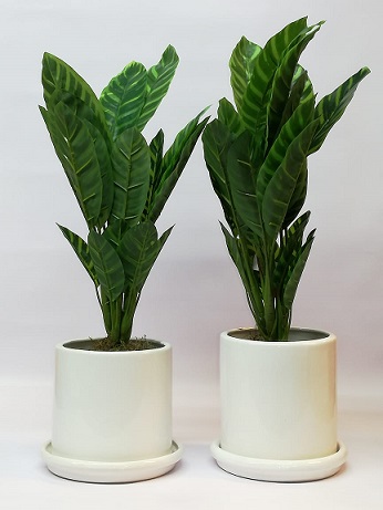  MACETA CERAMICA CILINDRO