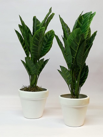  MACETA CERAMICA CONICA