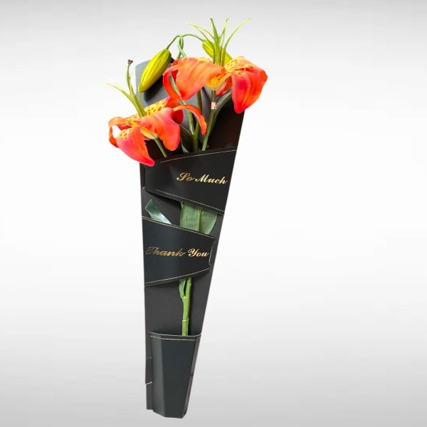CONO PLEGABLE 1 FLOR