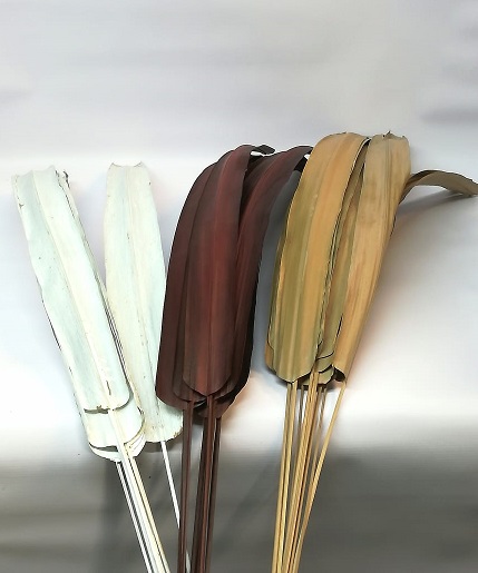 HOJA DE BURI 