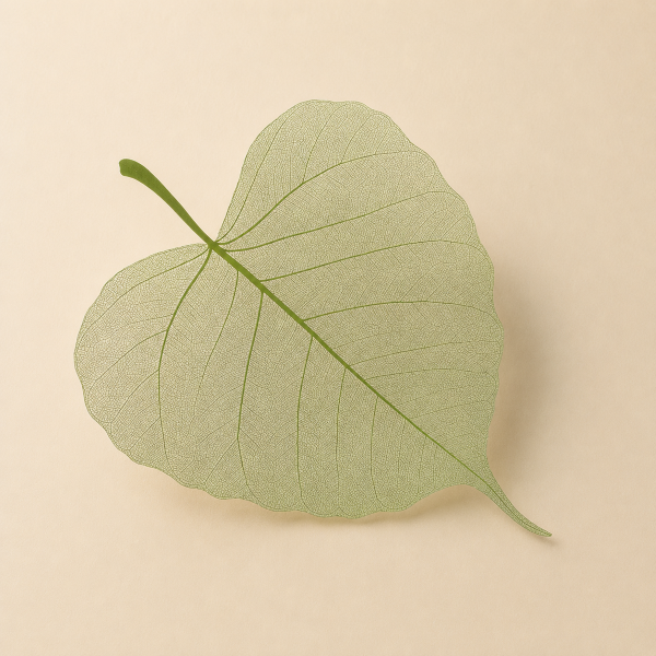 PAPEL COREANO F/HOJA