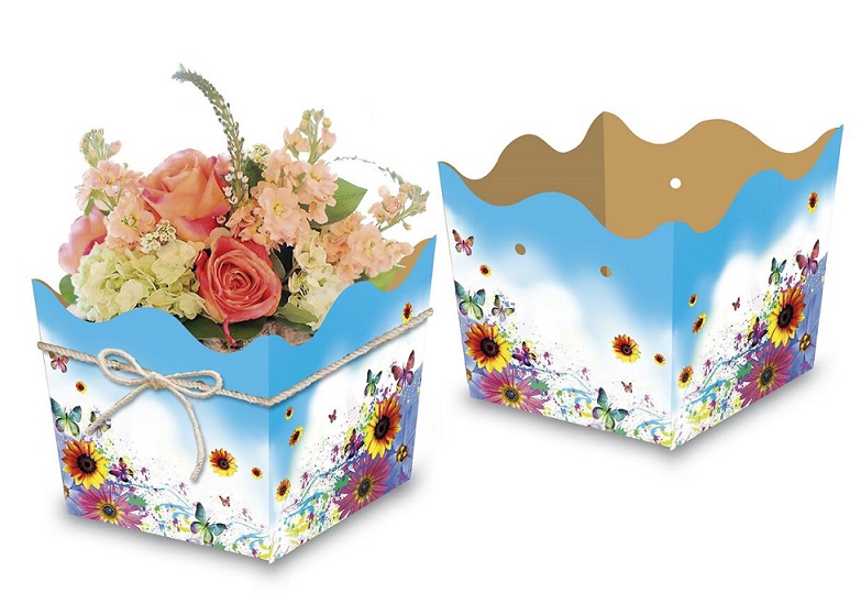 BASE CARTON
