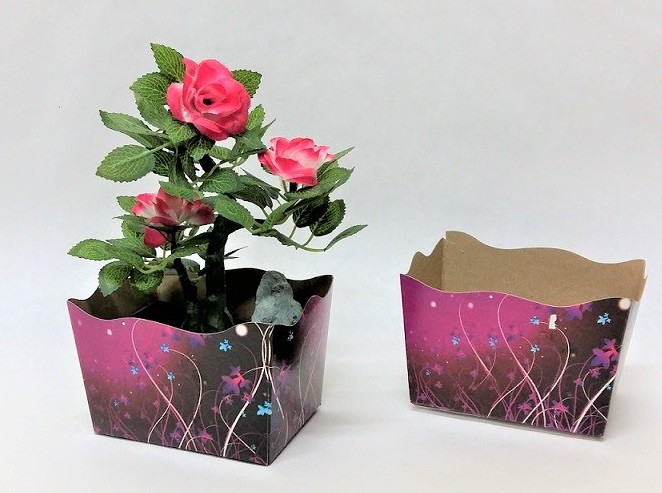 BASE CARTON