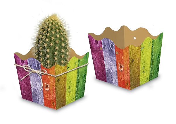 BASE CARTON