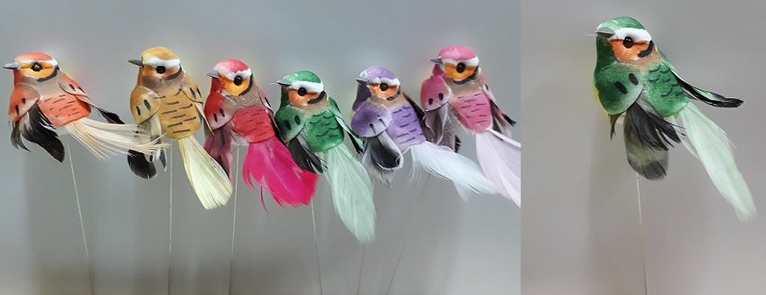 -PAJARITO COLOR 