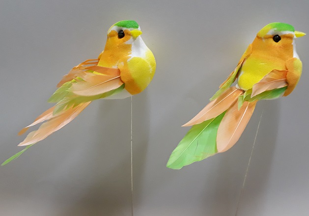 -PAJARITO COLOR 