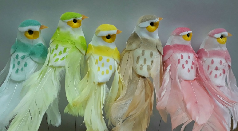 -PAJARITO COLOR 