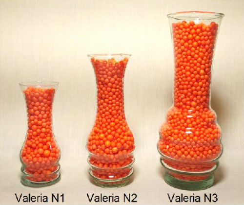 FLORERO VALERIA