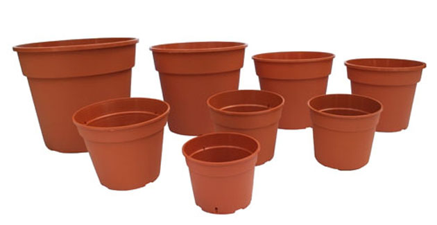  MACETA CULTIVO